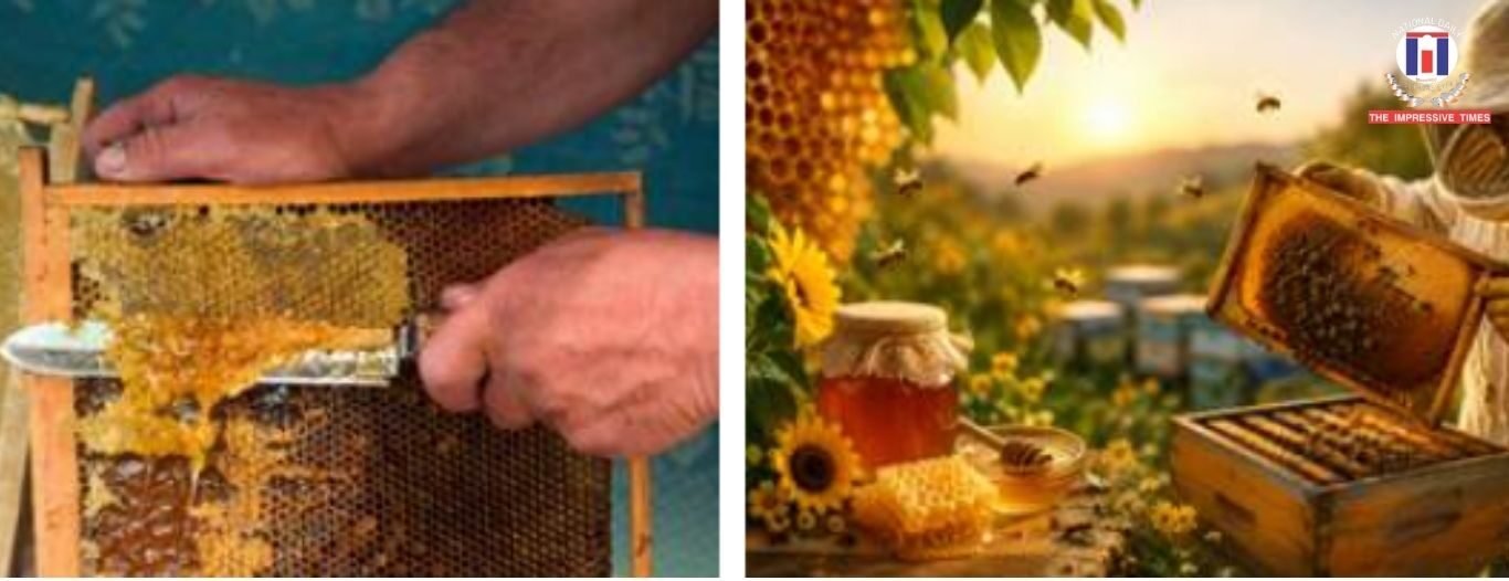 KVIC Boosts Rural Entrepreneurship as Traditional Skills Turn into Profitable Businesses