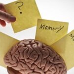 10 Memory Techniques to Help Competitive Exam Aspirants Improve Recall and Retention