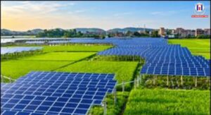 Agrivoltaics in India: How Solar Panels Could Transform Sustainable Farming