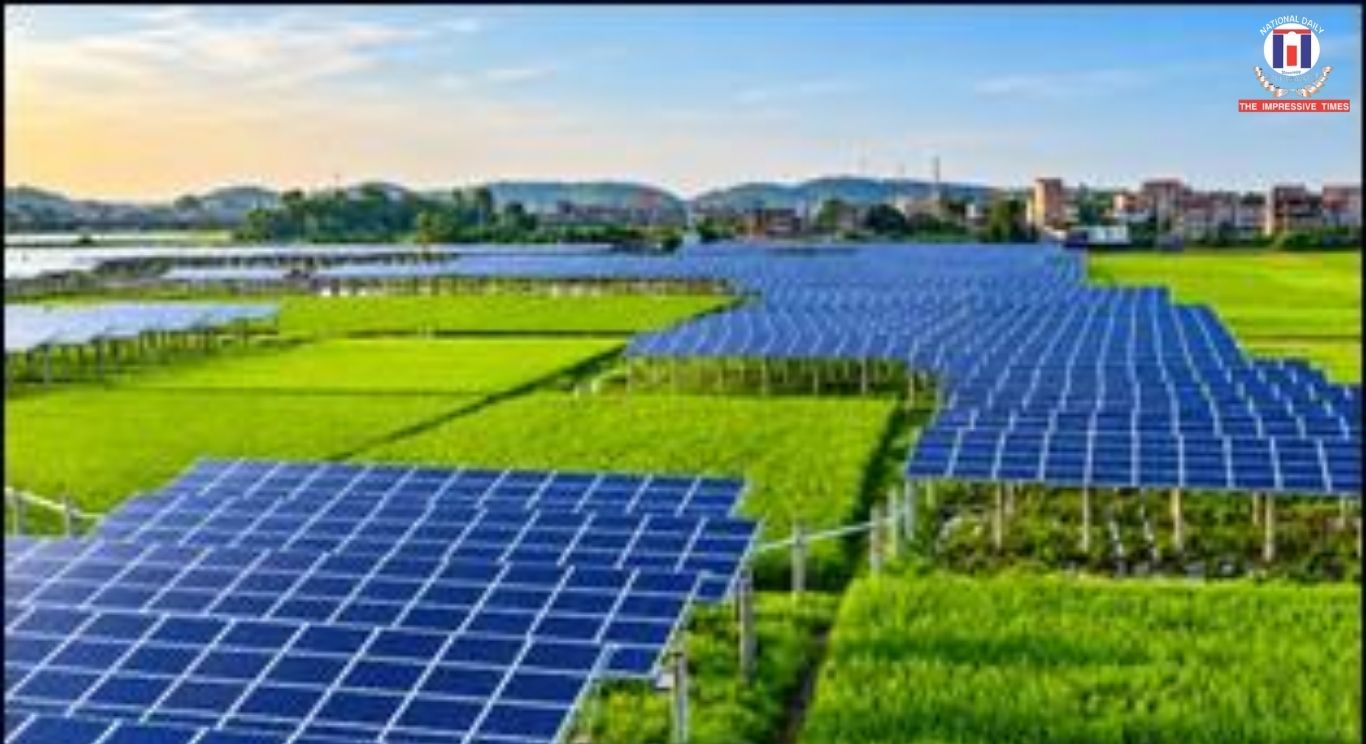 Agrivoltaics in India: How Solar Panels Could Transform Sustainable Farming